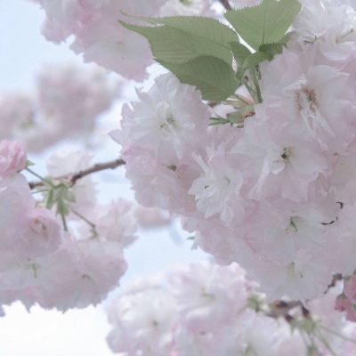 永宁FurryQQ群介绍